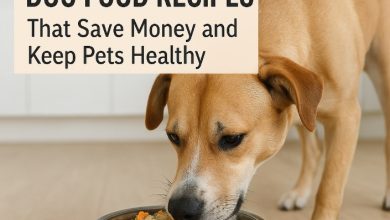 Easy Homemade Dog Food Recipes
