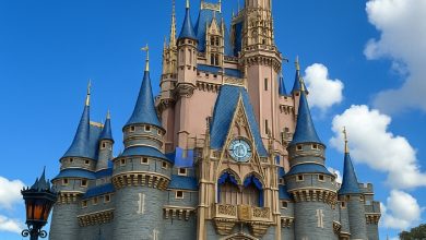 Where Is Magic Kingdom